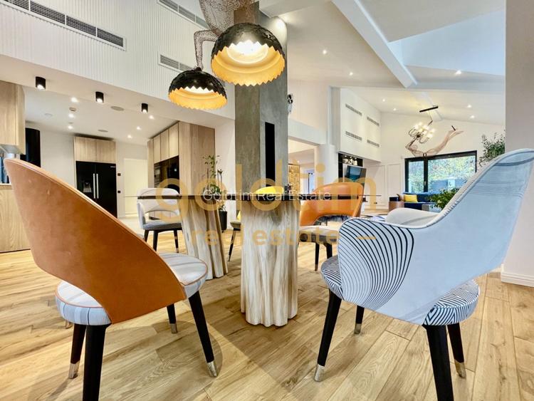 UNICA/ABSOLUT SUPERBA/ VILA INDIVIDUALA/IANCU NICOLAE/CURTE GENEROASA - 27