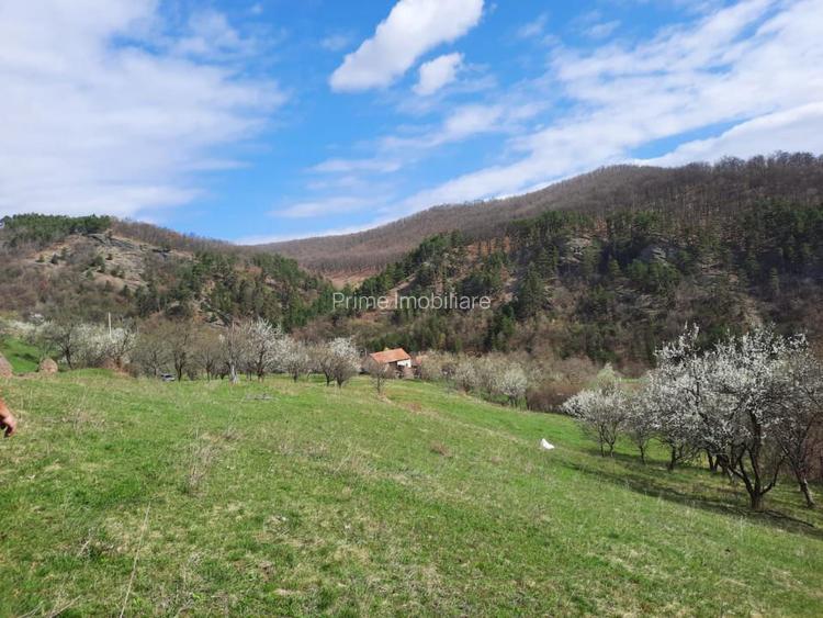 TEREN INTRAVILAN 13700 MP, INURI, VINTU DE JOS - 4