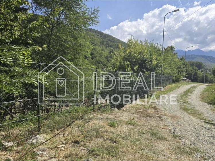 Teren extravilan 2.300 mp – Cârțișoara, județul Sibiu - 5