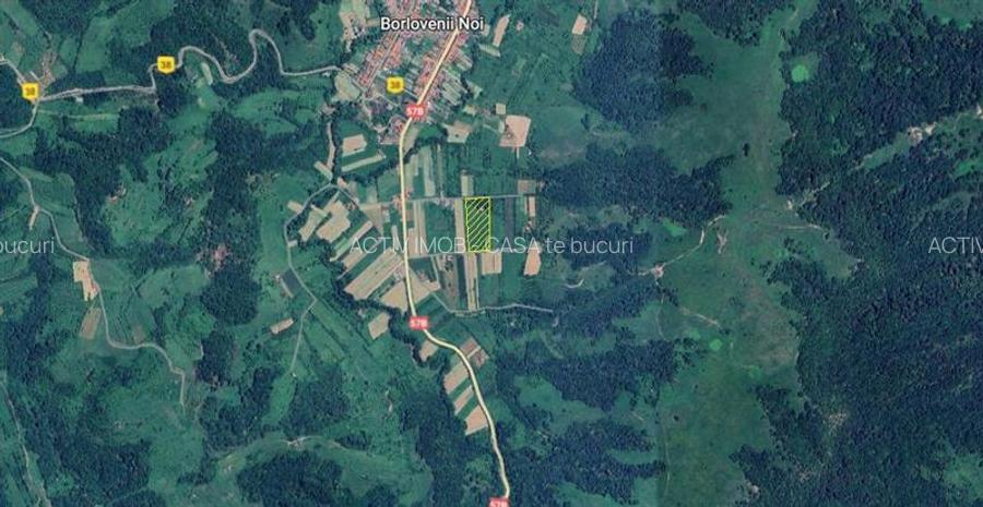 Borlovenii Noi, Teren Drept, 16000mp, la Limita Localitatii - 7
