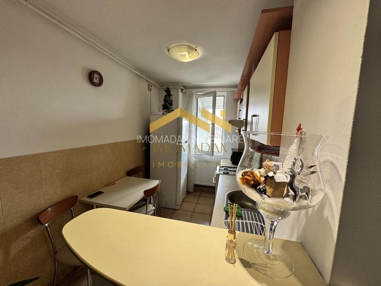 Sagului-2 Camere-Mobilat/aUtilat - 14