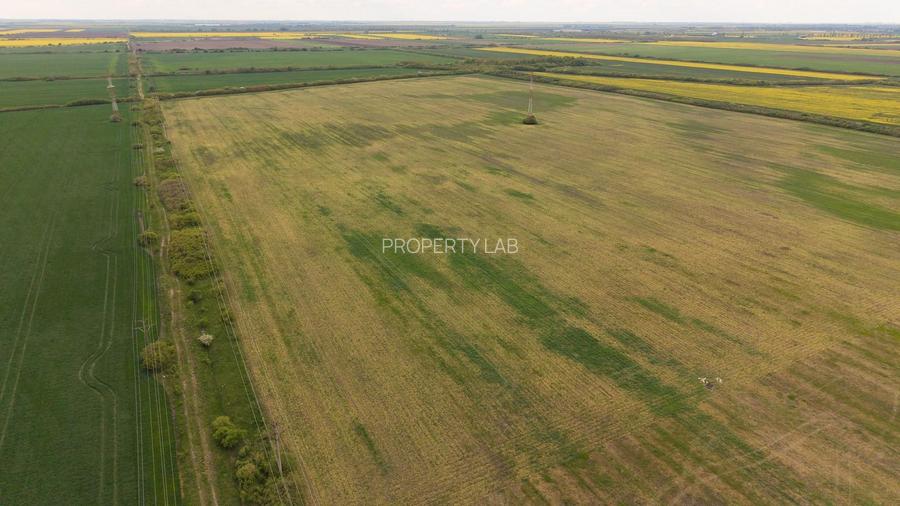 Teren investițional strategic 44.700 mp Arad Vest - 13