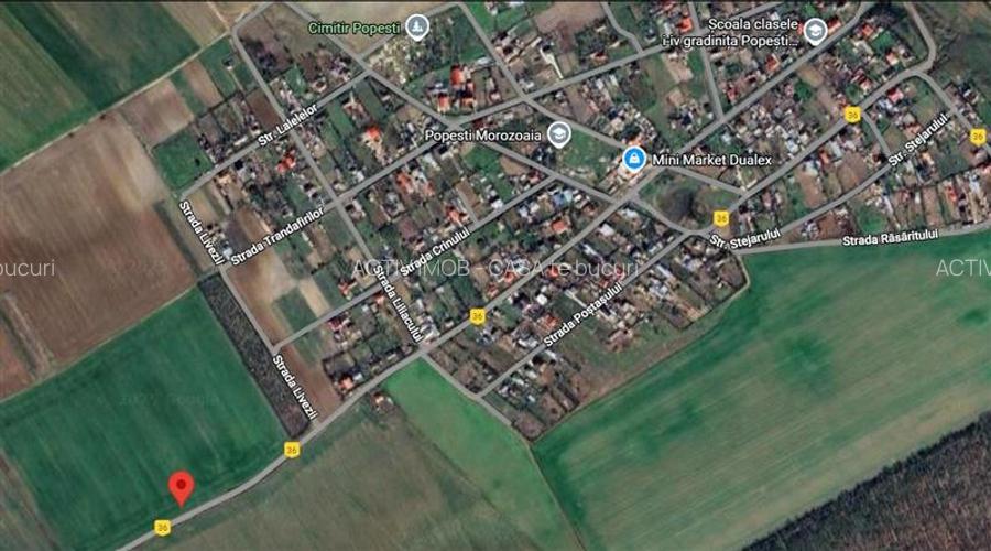Lot intravilan 668 mp, Popesti Vasilati, la asfalt - 5