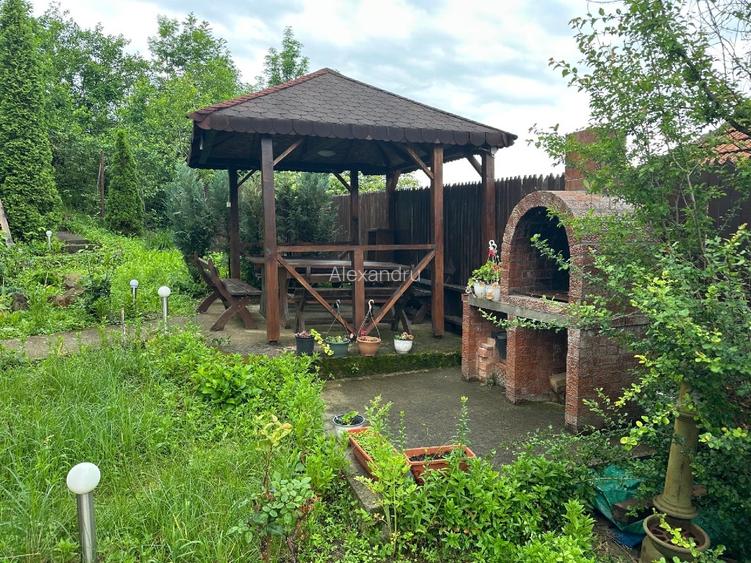 Casa vânzare comuna Bozioru munții Buzăului  - 10