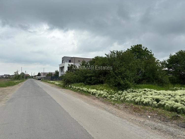Terenul dintre 2 lacuri – 1000 mp în Mogoșoaia, la 5 minute de pădure - 13