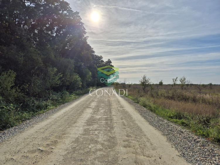 Teren de vanzare Padurea Baneasa 7.500 mp - 7