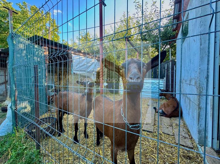 Vânzare Casă  D+P+E - 230 m.p. - Bucium - 38