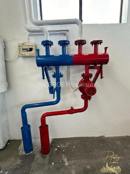 Proprietate industriala renovata | 2 hale de vanzare in zona Seleus - 6
