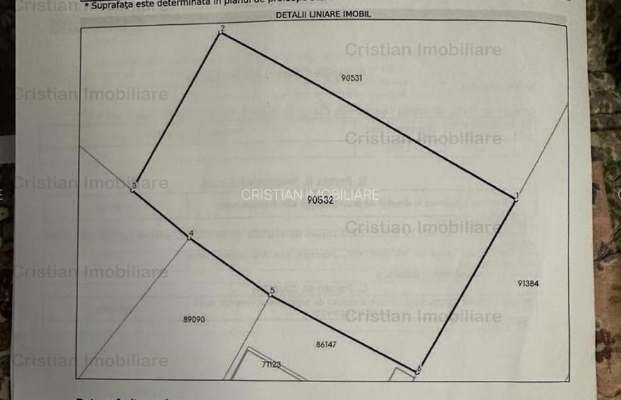 1073mp cu 25m deschidere Radu Negru Buzaului 121Euro  mp - 4