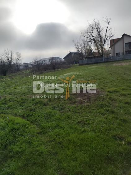 TEREN DE VANZARE DOMNESTI, 600 mp - 7