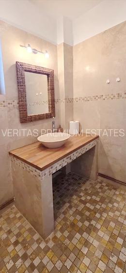 Vila de inchiriat pentru birouri, Unirii rond Alba Iulia, curte - 8