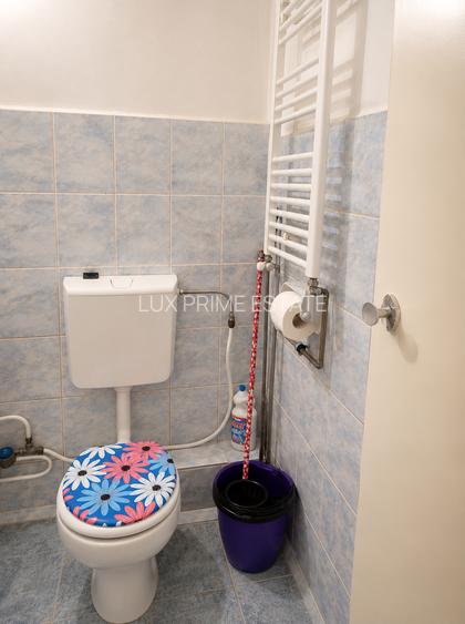 Apartament cu o cameră Calea Lipovei - 6
