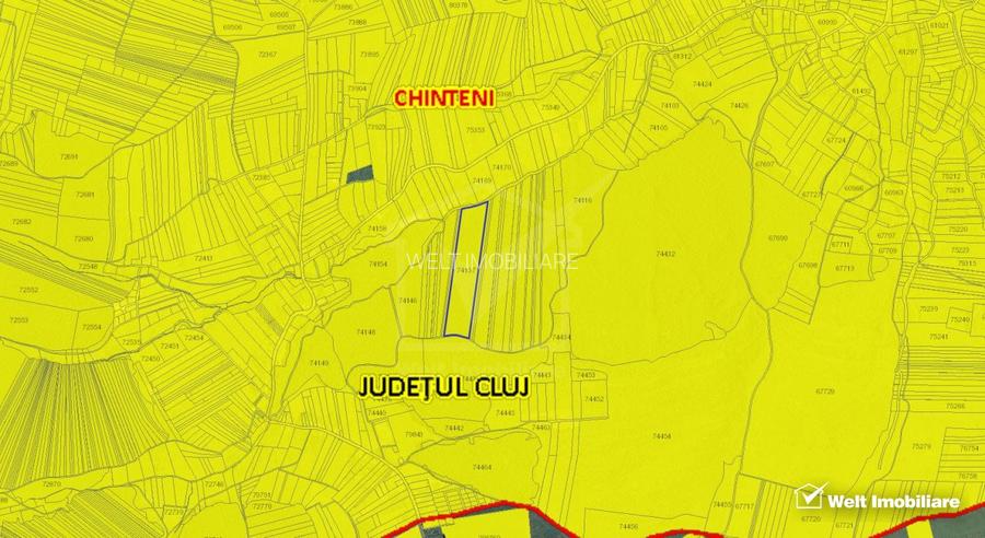 29.000 mp padure in Padureni (Chinteni), 100% material lemnos - 2