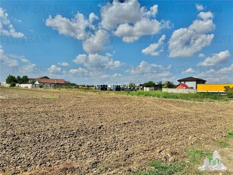 Teren 64 de parcele de vanzare /  Teren de investitie / Frumusani / Calarasi - 4