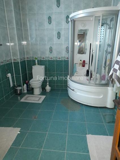 Proprietate in oras - 4