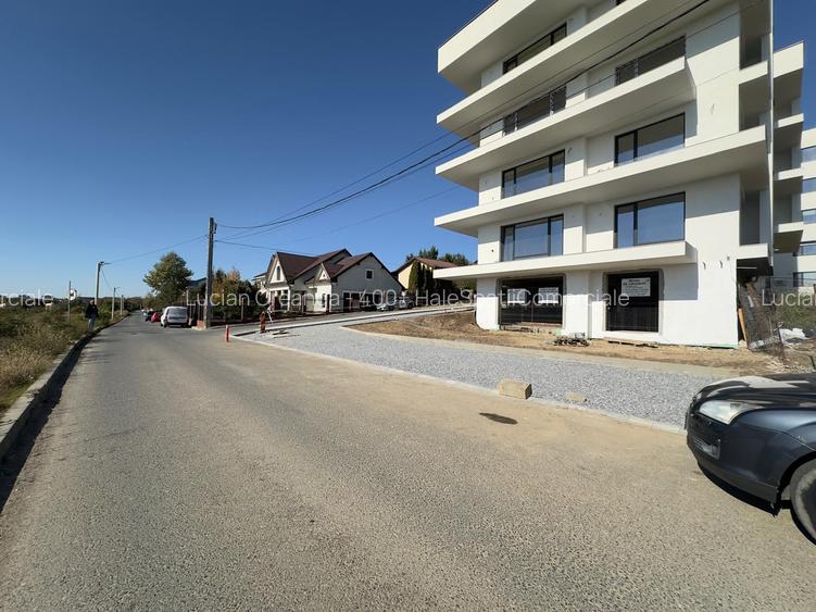 Spatiu 250mp, Pacurari - Valea Lupului - Sedes - 6