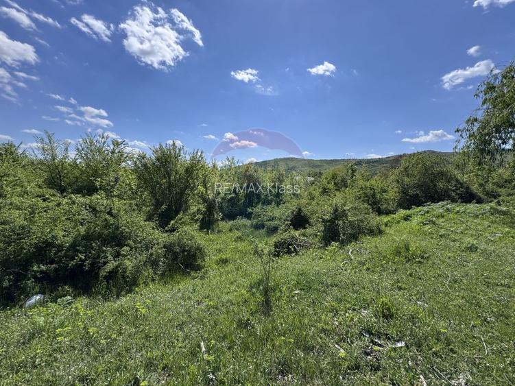 Domeniu de vânzare in Urlați Prahova - 5