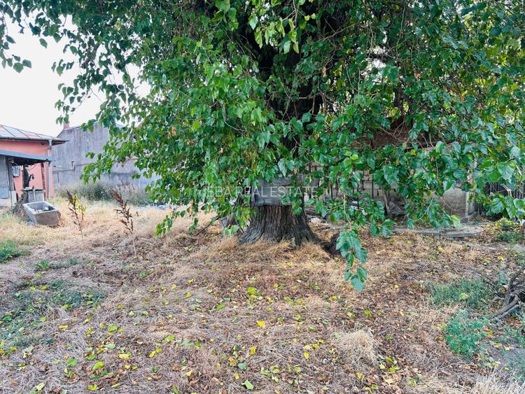 Super Teren intravilan 938 mp Chiajna- 15,5 mp/ 60 mp- ideal pentru investitie  - 8