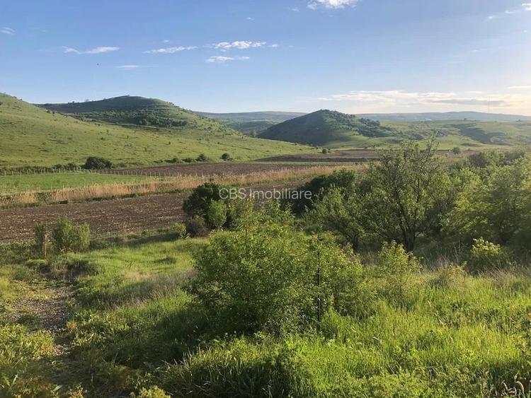 Teren de vanzare intravilan la intrare in Pata 800mp+200mp drum  - 3