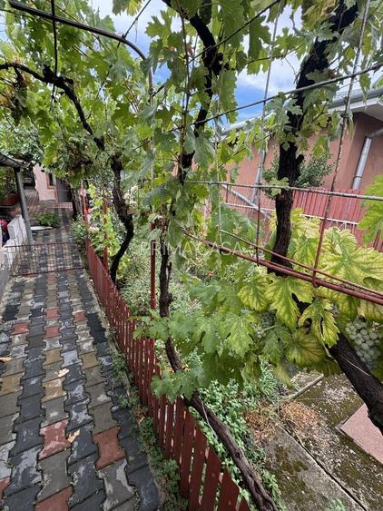 Casa cu 5 camere in zona D. Filipescu Posta teren 400mp Pret: 110.000 neg. - 7