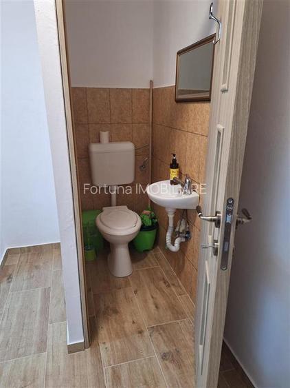 Spatiu comercial Astra - 6