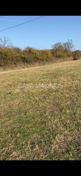 O oportunitate care îți atinge sufletul: Teren de vis la ieșirea din Rășinari - 8