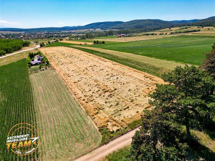 FILM! Valea Crisului,2.300mp,in vecinatatea lacului,aproape de Sfantu Gheorghe - 3
