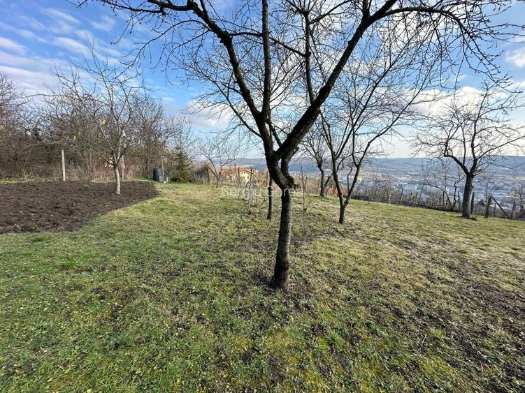 Vand Casa PLATOUL Cornesti str. CORNESTI- teren 1150 mp - 3