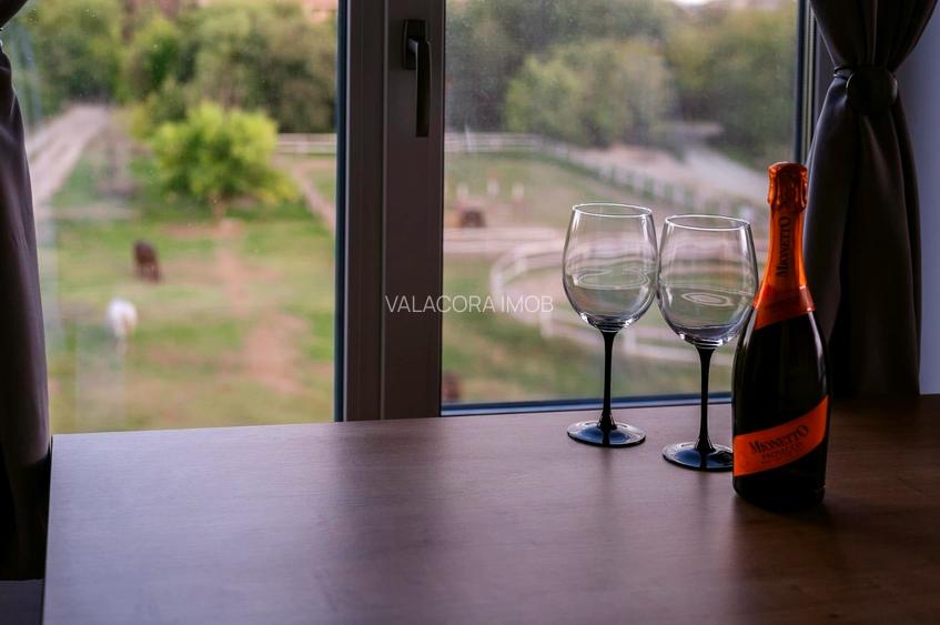 Apartament 2 camere | Mamaia Sat | Mobilat-utilat partial | Loc parcare acoperit - 15
