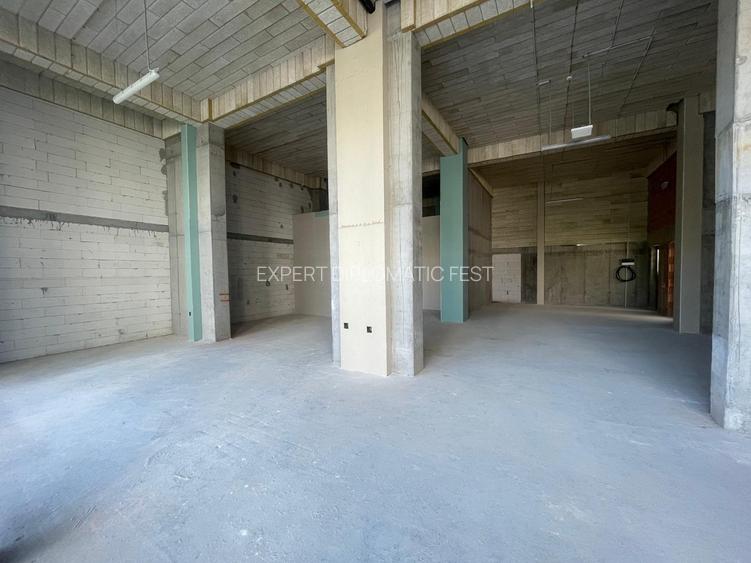 Barbu Vacarescu -Fabrica De Glucoza-spatii 160-290-500 mp-pret 25-28 euro mp - 4