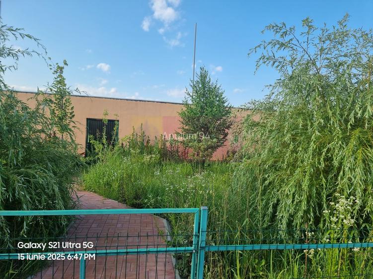 VANZARE CASA OASPETI + ANEXE IN  SAT TEISORI (JUD. GIURGIU) - 24