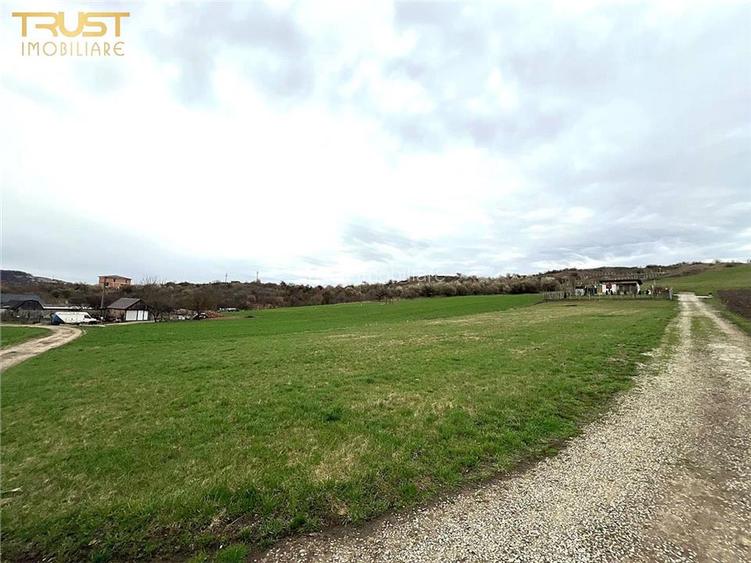 Teren extravilan zona lac Sigmir utilitati - 4