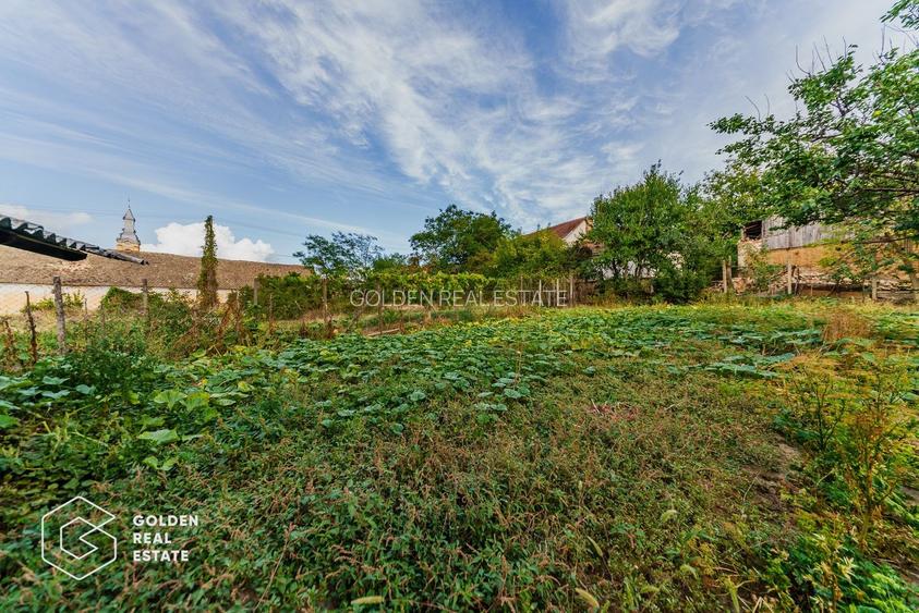 Vila superba, P+E,  Cuvin, 9 camere, 200 mp si teren 1300 mp plus anexa 3 camere - 45