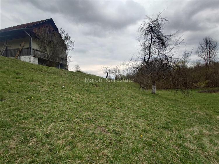 10 000 mp teren intravilan cu priveliste - 15