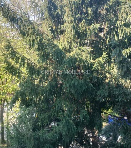 Apartament 4 camere. Zona Covasna. Intre Bld. Obregia si Bld. Brancoveanu. - 5