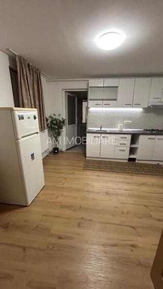 GARSONIERA - RAHOVA, PET-FRIENDLY, MOBILAT/UTILAT MODERN, CURTE - 6