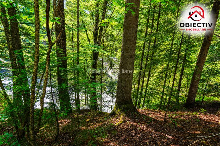 Cabană de Vânzare în Tarcău – Natură, Relaxare și Pescuit la Poartă! - 5