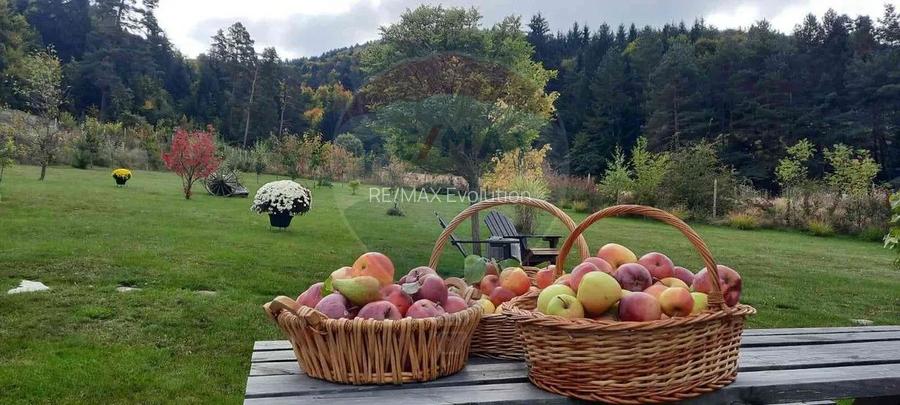 Casă / Vilă cu 2 camere de închiriat - 8