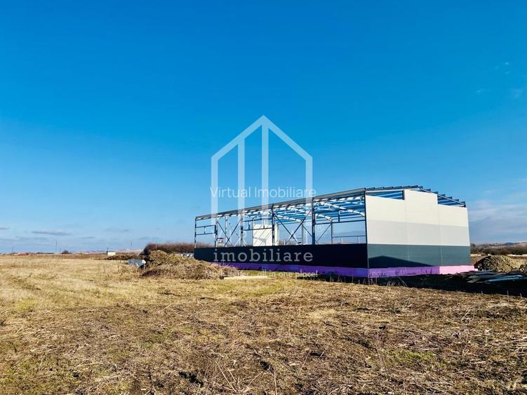 Hala de vanzare in zona industriala de Vest- Ocna Sibiului- utilitati - 5