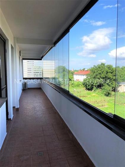 151 MP, TERASA 38 MP, APROAPE DE PADURE, MOBILAT, UTILAT! - 10