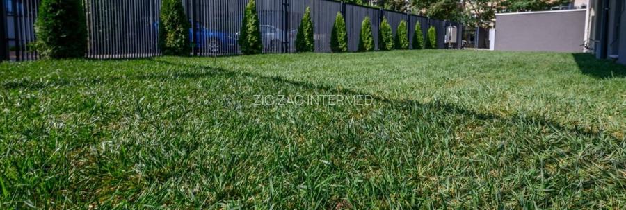 Tomis III , spatii IDEAL BIROURI, 2 camere, curte, constructie 2023 - 11