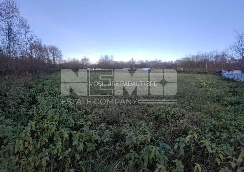 TEREN SALCEA I SUCEAVA I LOC DE CASA I 17Ari I 53.500Euro - 4