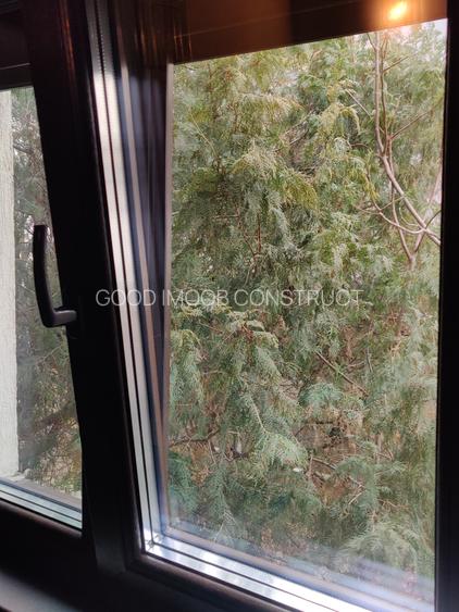 Vilă interbelică și teren 684 mp zona Viilor/Parcul Carol - 11