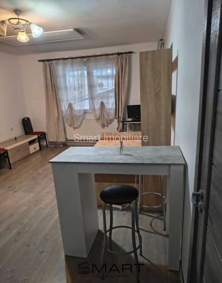 Apartament 1 camere zona Terezian  - 4