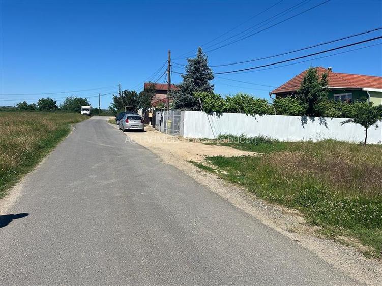 Lugoj, Teren 2.650 Mp. Front 19 ml., La Ieșire Spre Caransebeș - 9
