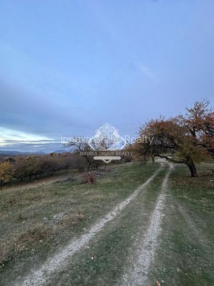 Teren 7199mp Intravilan cu Vedere Panoramica Superbă, Ideal Investitie - 12