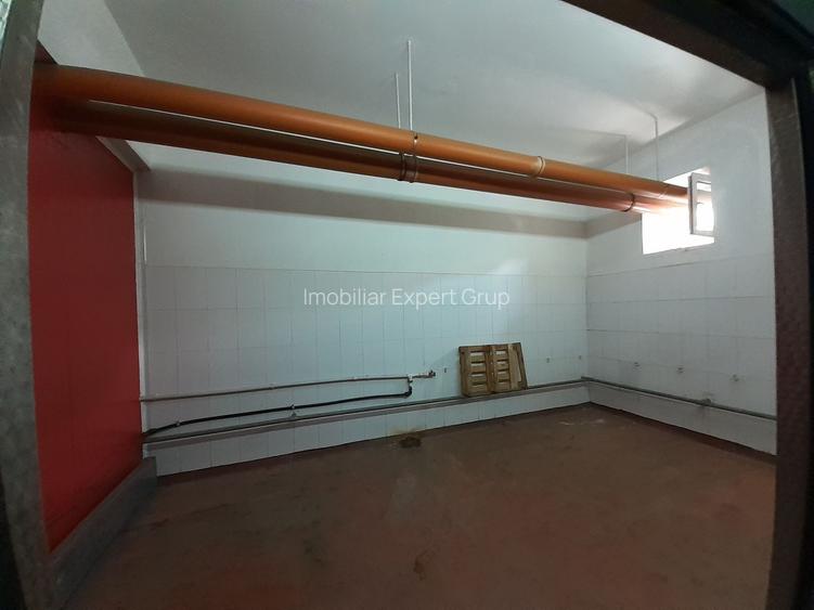 Hala 343 mp ideala industria alimentara, depozitare - 7