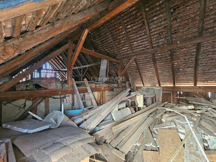 3 Corpuri noi casa, Hala Productie, Curte, Acces auto, Cristian |VIDEO - 4