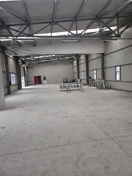 Hala 437 mp Domnesti - Pasaj - 5