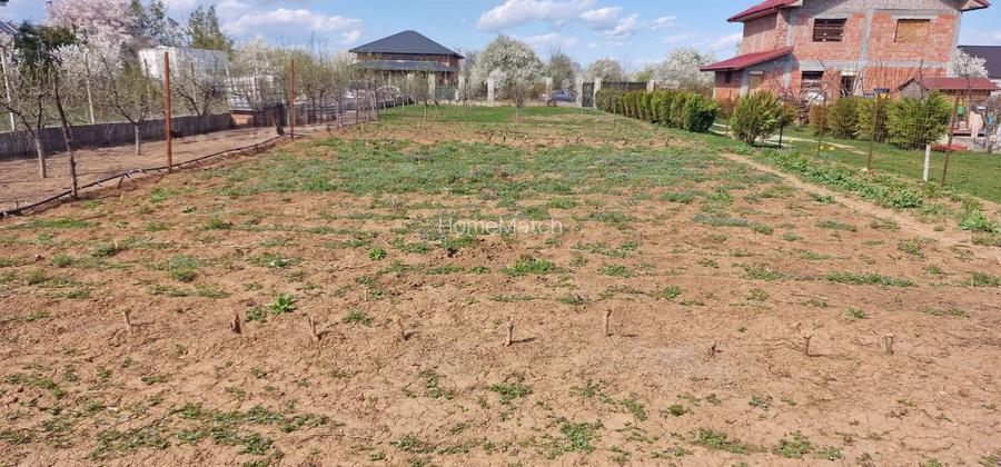 0%comision - Teren Tancabesti ingradit - 6